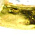 7 Glass Set of 4 Square Edge Gold Plates
